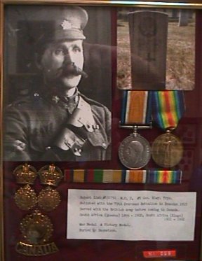 Robert Limb Medals Display