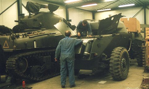 Staghound on its wheels